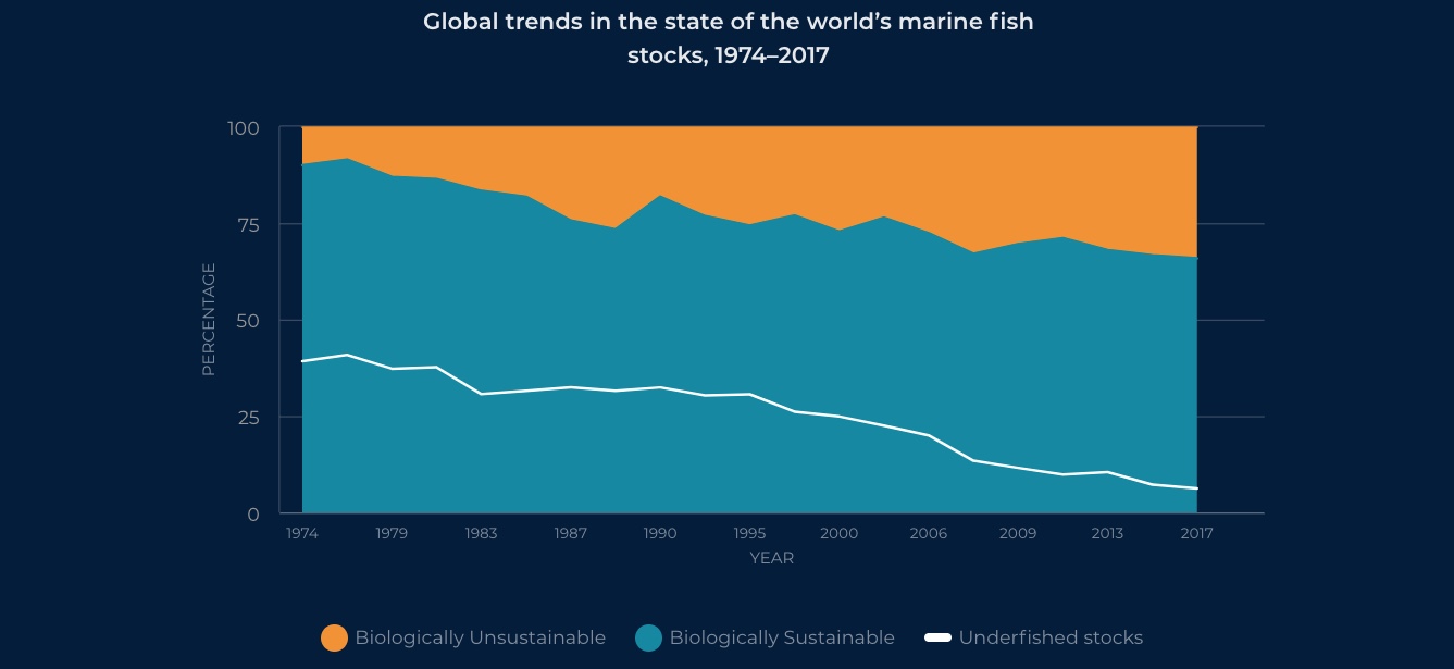 Infographic