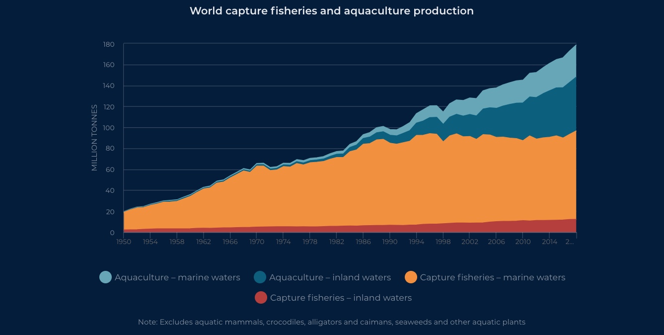 Infographic