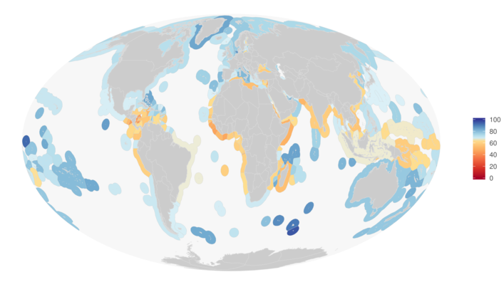 2019 Global Index